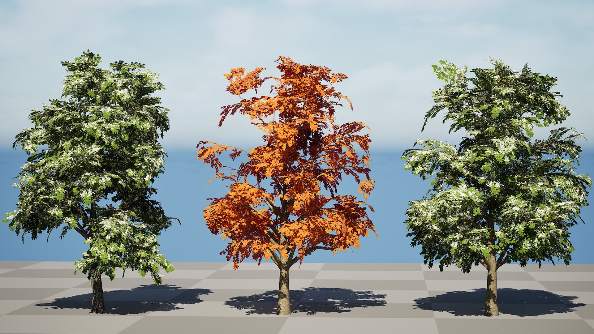 Acer pseudoplatanus 3D model https://p.turbosquid.com/ts-thumb/u3/SWNdPq/Rg/highresscreenshot00000/jpg/1759511381/1920x1080/fit_q87/dcf0f6d9d99f13bcbe475fa81d8be41feff96ab6/highresscreenshot00000.jpg