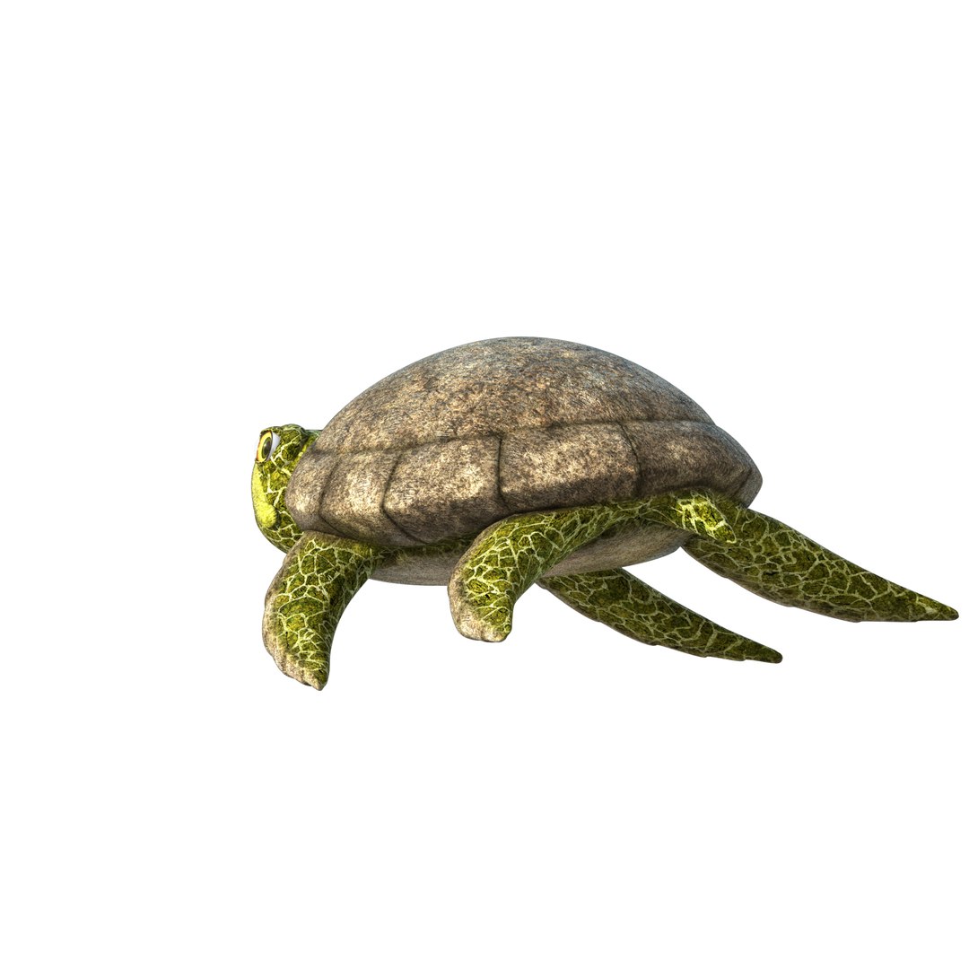 obj rigged sea turtle