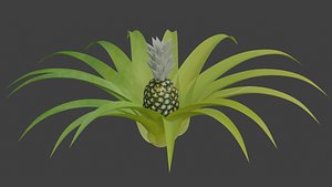 3D 3D Pineapple Simple Model model