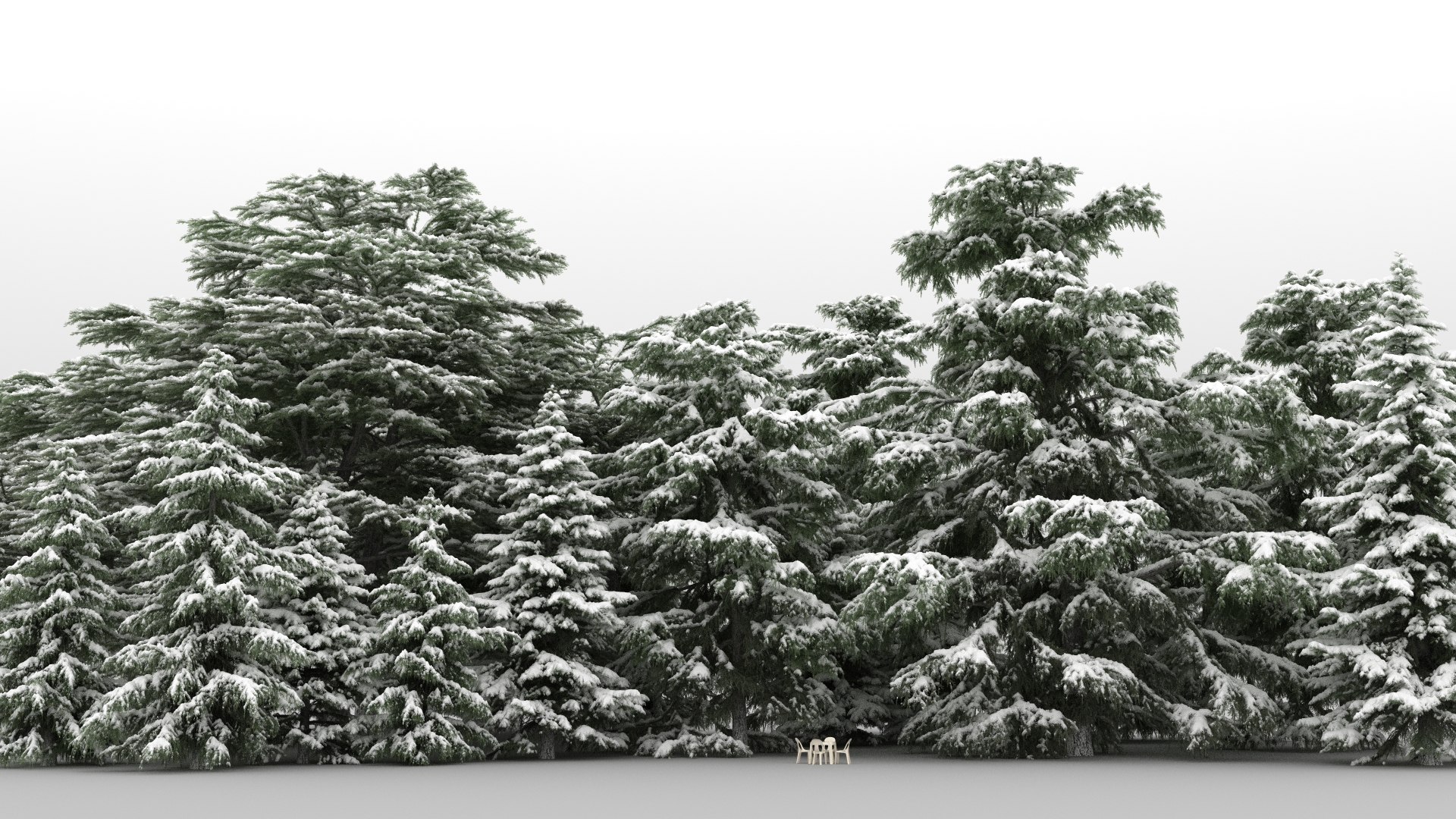 20 Cedrus Trees 3d Max
