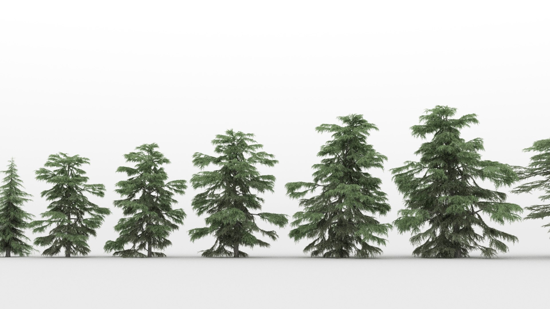 20 cedrus trees 3d max