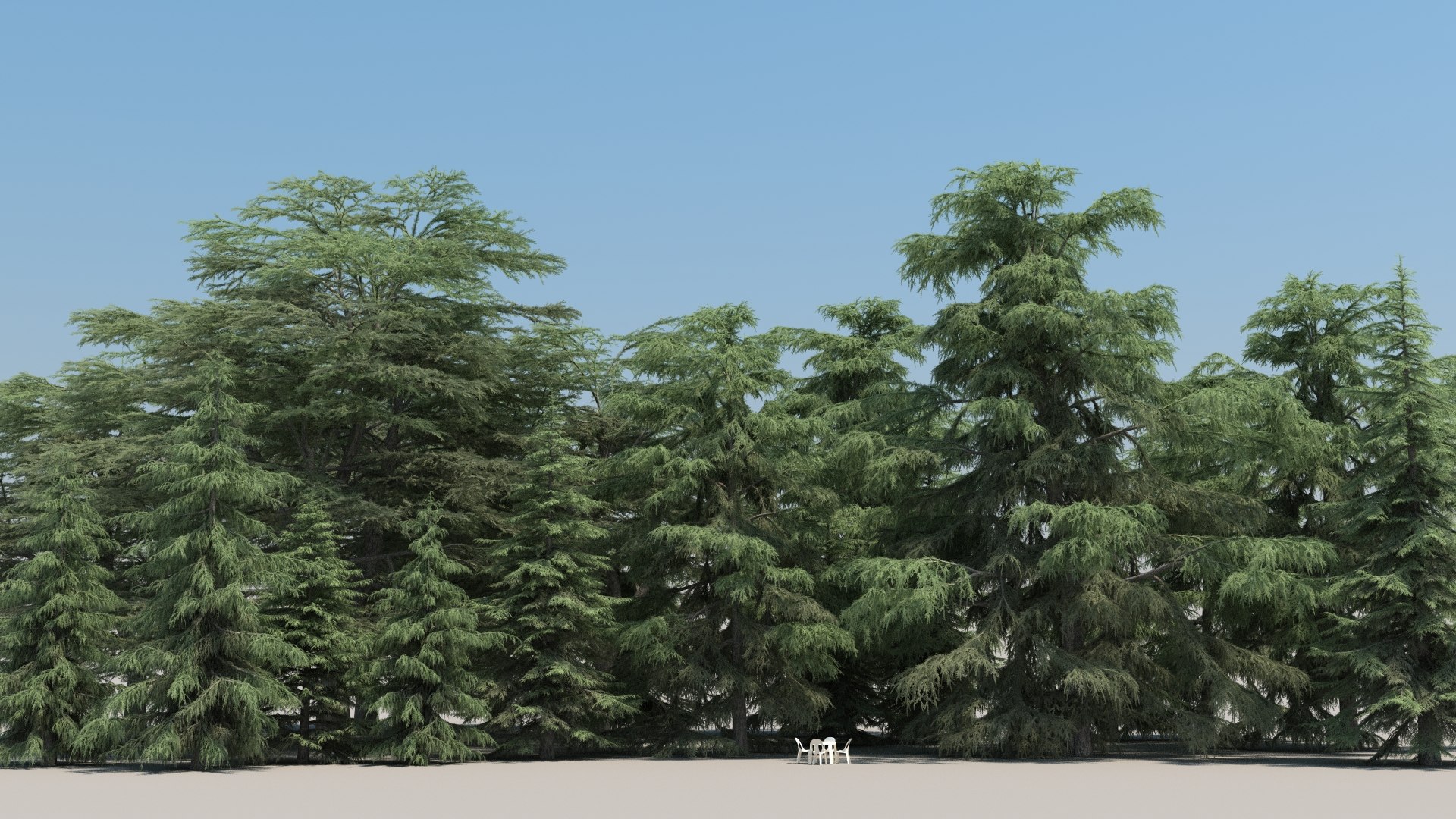 20 Cedrus Trees 3d Max