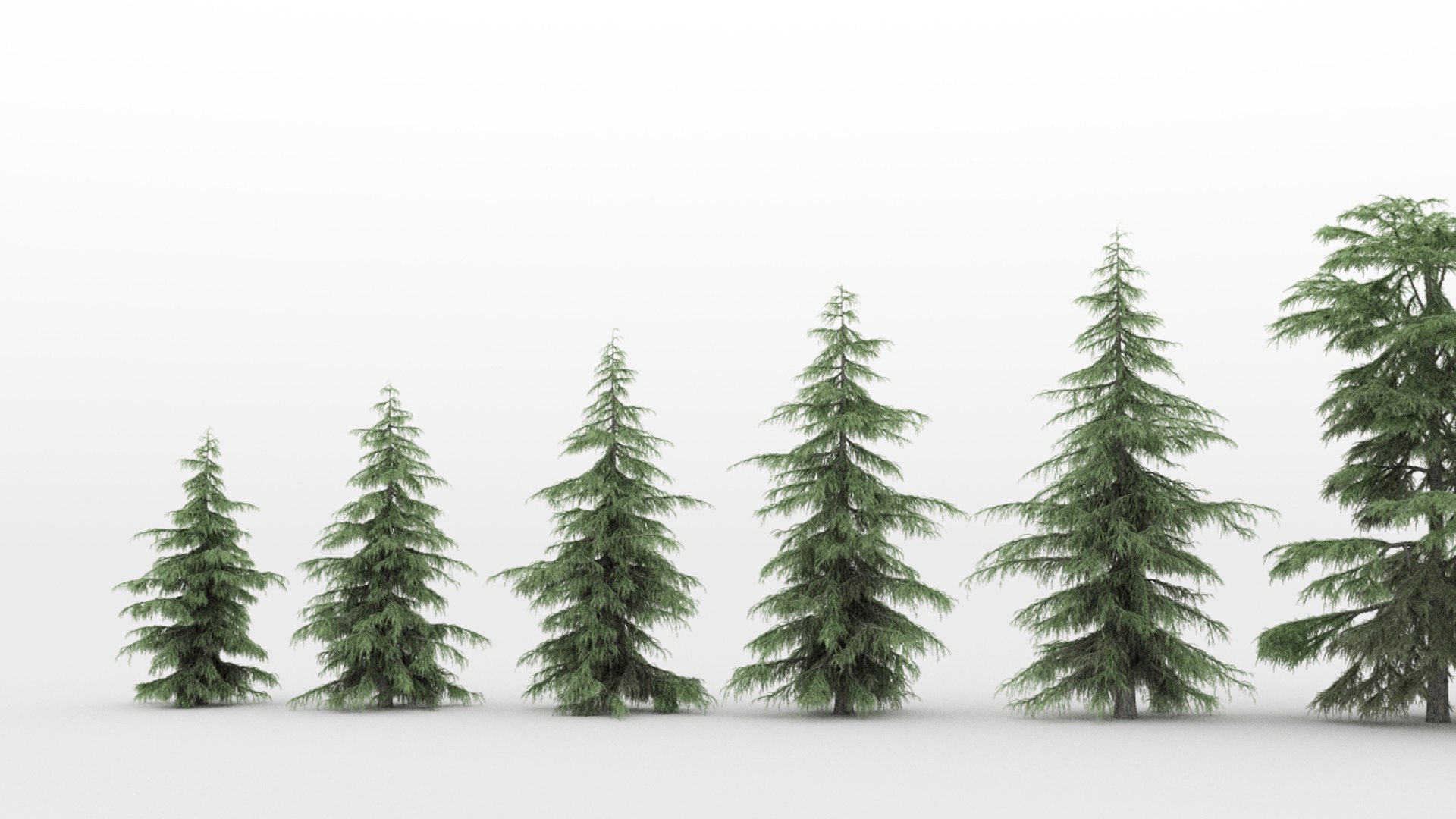 20 Cedrus Trees 3d Max