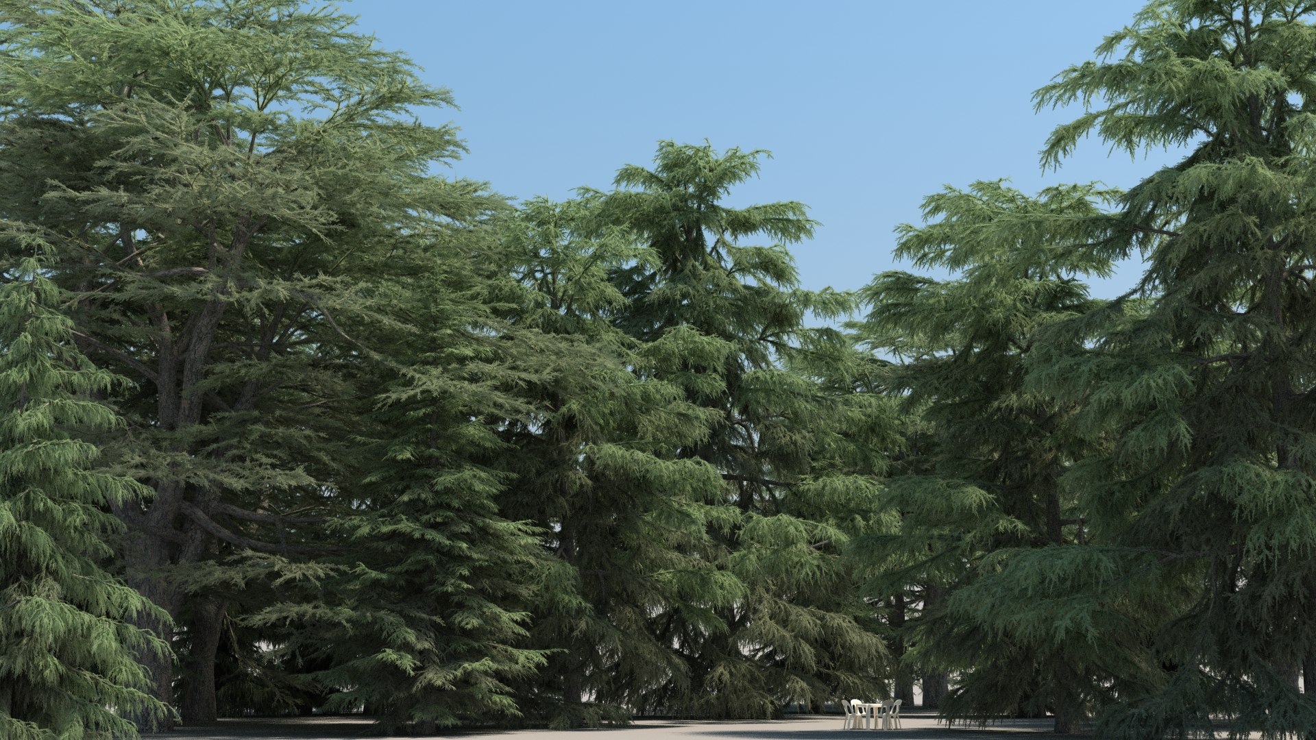 20 Cedrus Trees 3d Max