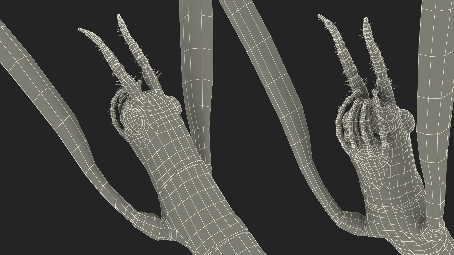 stick insect brown attack model https://p.turbosquid.com/ts-thumb/u4/IYTqAP/qK8oQQEw/stickinsectbrownattackpose3dsmodel022/jpg/1573816857/1920x1080/fit_q87/6b3cd98994c5f3d5688b2bbd823422d94739f1b4/stickinsectbrownattackpose3dsmodel022.jpg