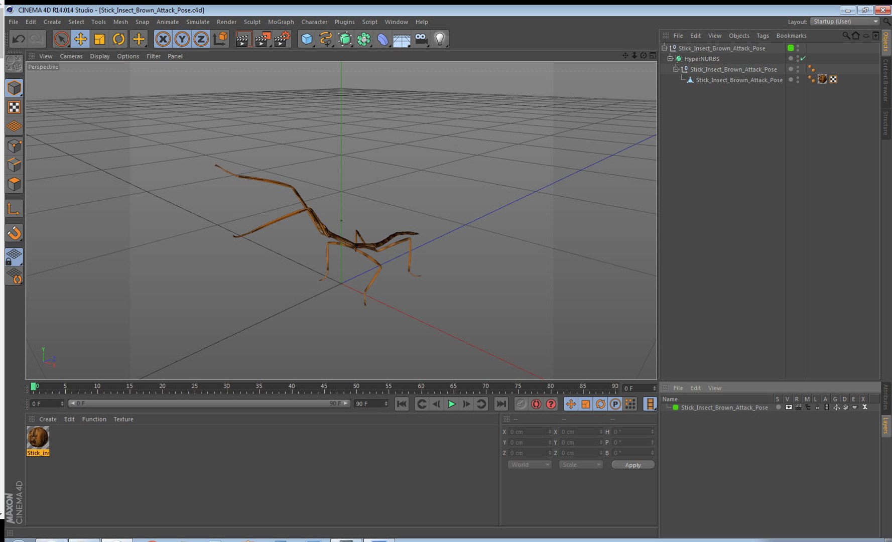 stick insect brown attack model https://p.turbosquid.com/ts-thumb/u4/IYTqAP/wgLbZYR4/stickinsectbrownattackpose3dsmodel017/jpg/1573816835/1920x1080/fit_q87/2fa658640137b84cd496268a6c7478b40e13d9e8/stickinsectbrownattackpose3dsmodel017.jpg