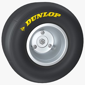 3D model Dunlop Kart Slick Tyre