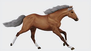 3D Running horse model