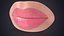 Colección de labios, orejas y nariz