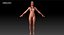 3D woman jean model