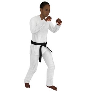 rigged karate 3D model