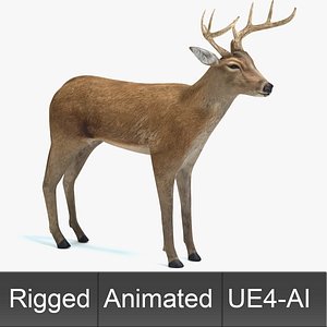 Animated Game Deer