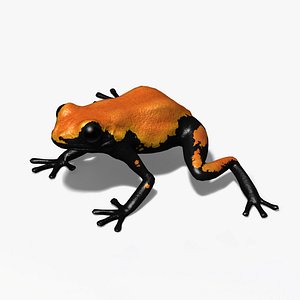 Orange Backsplash Frog 3D model