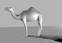Dromedary Camel Maya Obj Collada