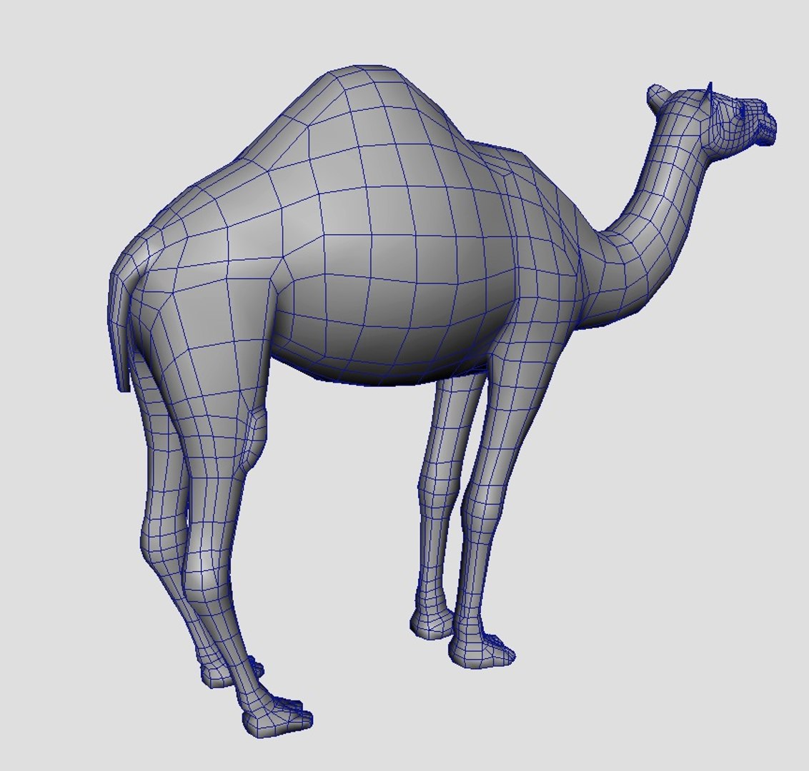 3d dromedary camel model https://p.turbosquid.com/ts-thumb/u5/G0KkbY/6PyeK7dE/7/jpg/1297895910/1920x1080/fit_q87/a40d82ec5809592800c247f5d178aa26ee0c1dbd/7.jpg