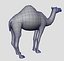 Dromedary 낙타 마야 Obj Collada