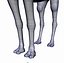 Dromedary 낙타 마야 Obj Collada