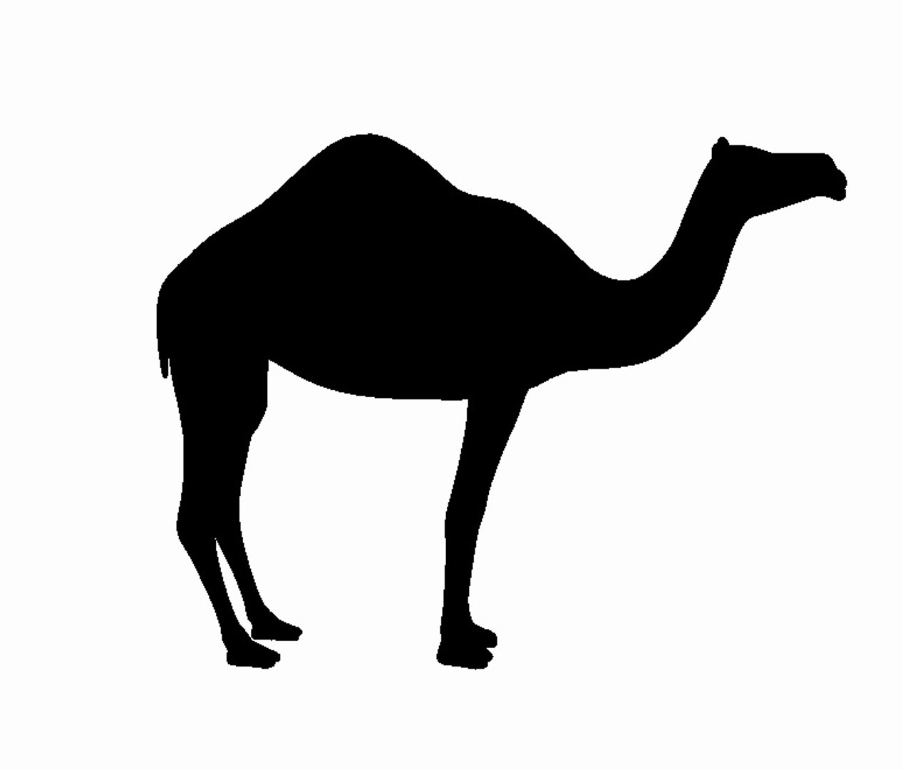 3d dromedary camel model https://p.turbosquid.com/ts-thumb/u5/G0KkbY/D6y4AGgB/1/jpg/1297895910/1920x1080/fit_q87/df9cb1449579927684e1d4479dd166698ef05cef/1.jpg