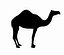 Dromedary 낙타 마야 Obj Collada