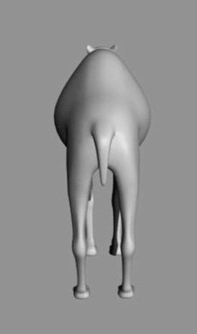 3d dromedary camel model https://p.turbosquid.com/ts-thumb/u5/G0KkbY/VMpNHXIJ/cam_08/jpg/1297895910/1920x1080/fit_q87/b0b612e7eed65148df5250bff64f61044153702b/cam_08.jpg