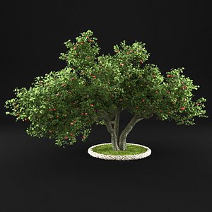 3D apple tree model
