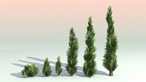 6 trees 3D model
