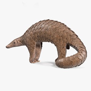 Pangolin Rigged for Cinema 4D