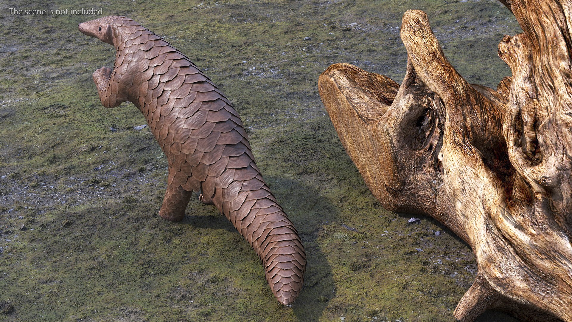 Pangolin Rigged For Cinema 4D 3D Model - TurboSquid 2268660