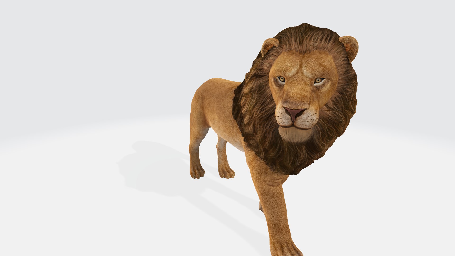 Lion Model - TurboSquid 2305726