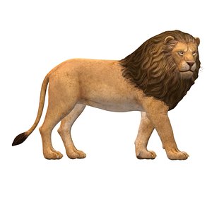 Lion model