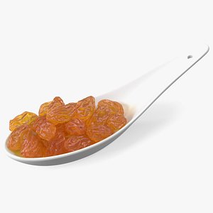 Golden Raisins in a Spoon model