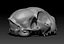 cat skull printing model