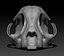 cat skull printing model
