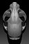 cat skull printing model