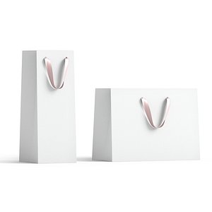 3D White Paper Gift Bag 2 Type - craft shopping pack set
