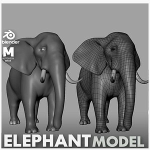 3D Elephant Basemesh model