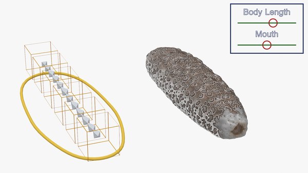 Trepang Braun Rigged 3D-Modell - TurboSquid 2300558