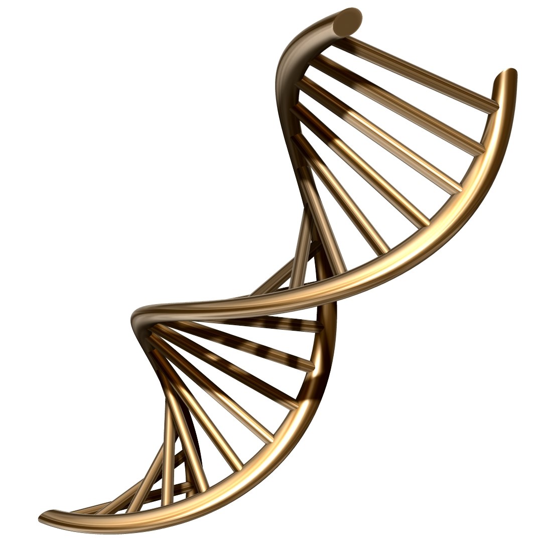 Dna Chain 3D Model - TurboSquid 1200745