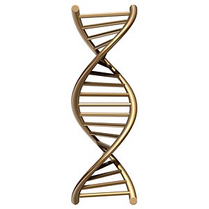DNA Chain