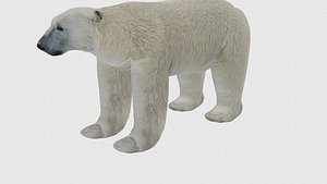 3D Low Poly Polar Bear Rigged With Realistic Texture