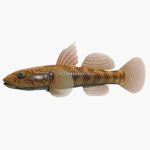 fresh water cb 3d 3ds