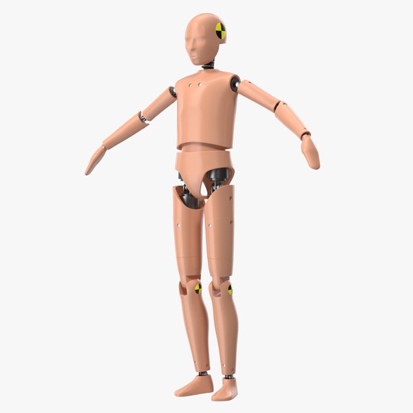 teenager crash test dummy 3D