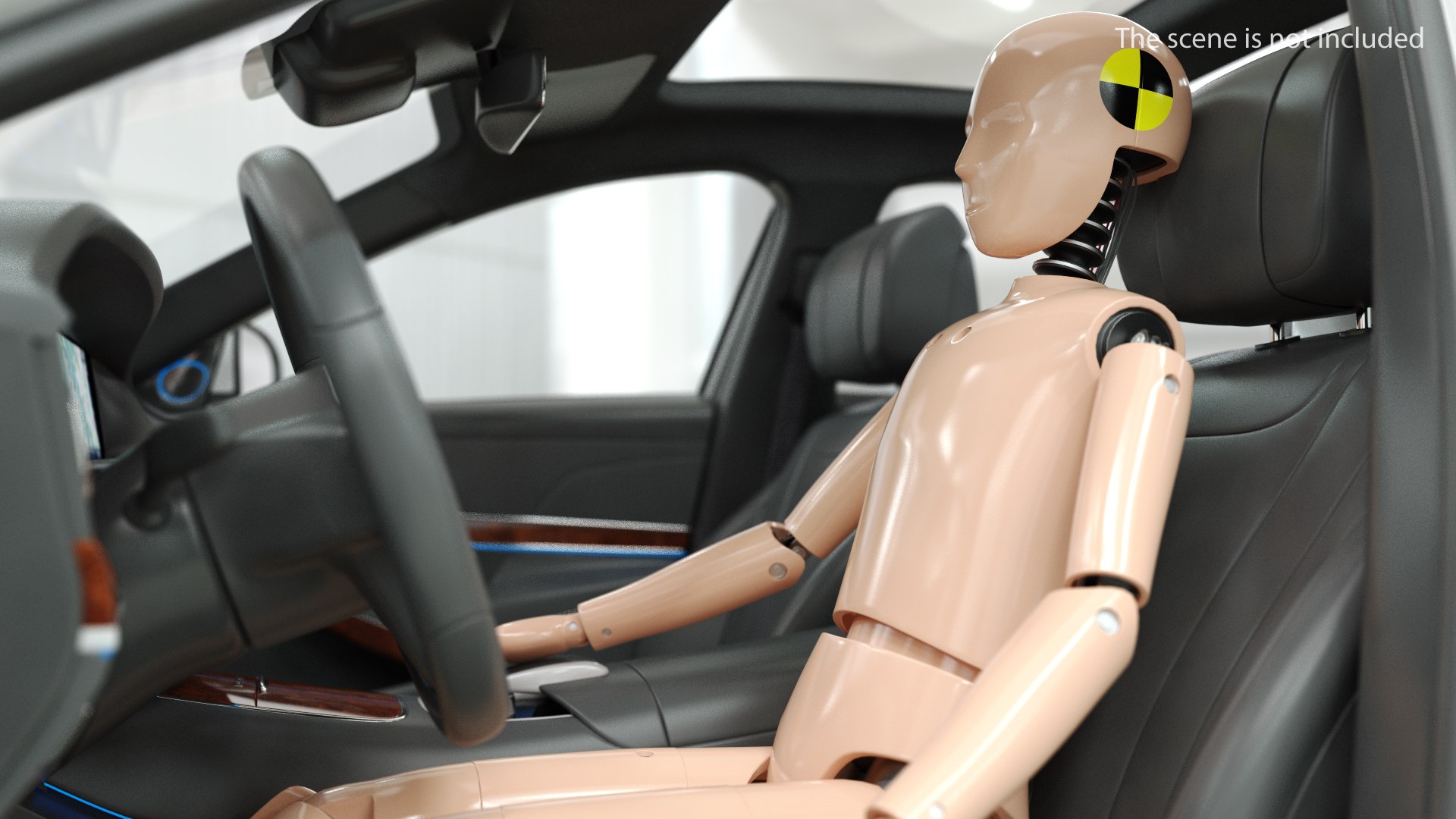 Teenager Crash Test Dummy 3D model preview