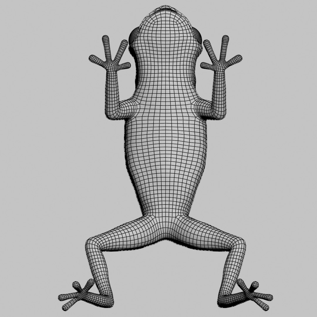 green tree frog 3d model https://p.turbosquid.com/ts-thumb/u7/ATQbik/BAKvA7FF/frog_wire_03/jpg/1392577469/1920x1080/fit_q87/49405018a3dd250624bebfd6f724853aa331e9cf/frog_wire_03.jpg