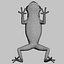 Green Tree Frog