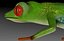 Green Tree Frog
