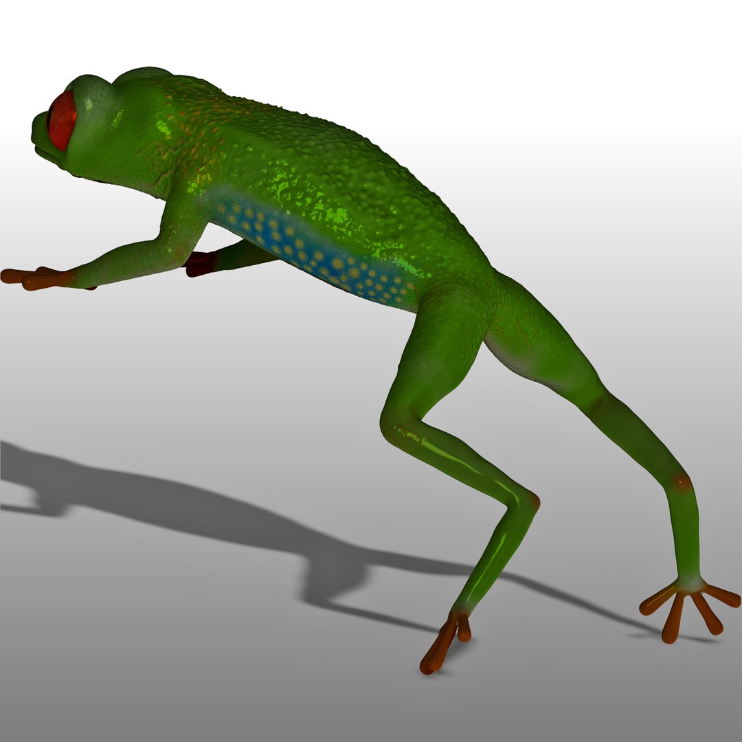 green tree frog 3d model https://p.turbosquid.com/ts-thumb/u7/ATQbik/DBEPchoH/render3.bmp4c76da760aaf45c488b03f35ab78f2aczoom/jpg/1392797285/1920x1080/fit_q87/c6422514b9b0123b1481e2d9e9c7f701d1b69b28/render3.bmp4c76da760aaf45c488b03f35ab78f2aczoom.jpg
