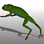 Green Tree Frog