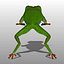 Green Tree Frog