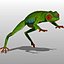 Green Tree Frog